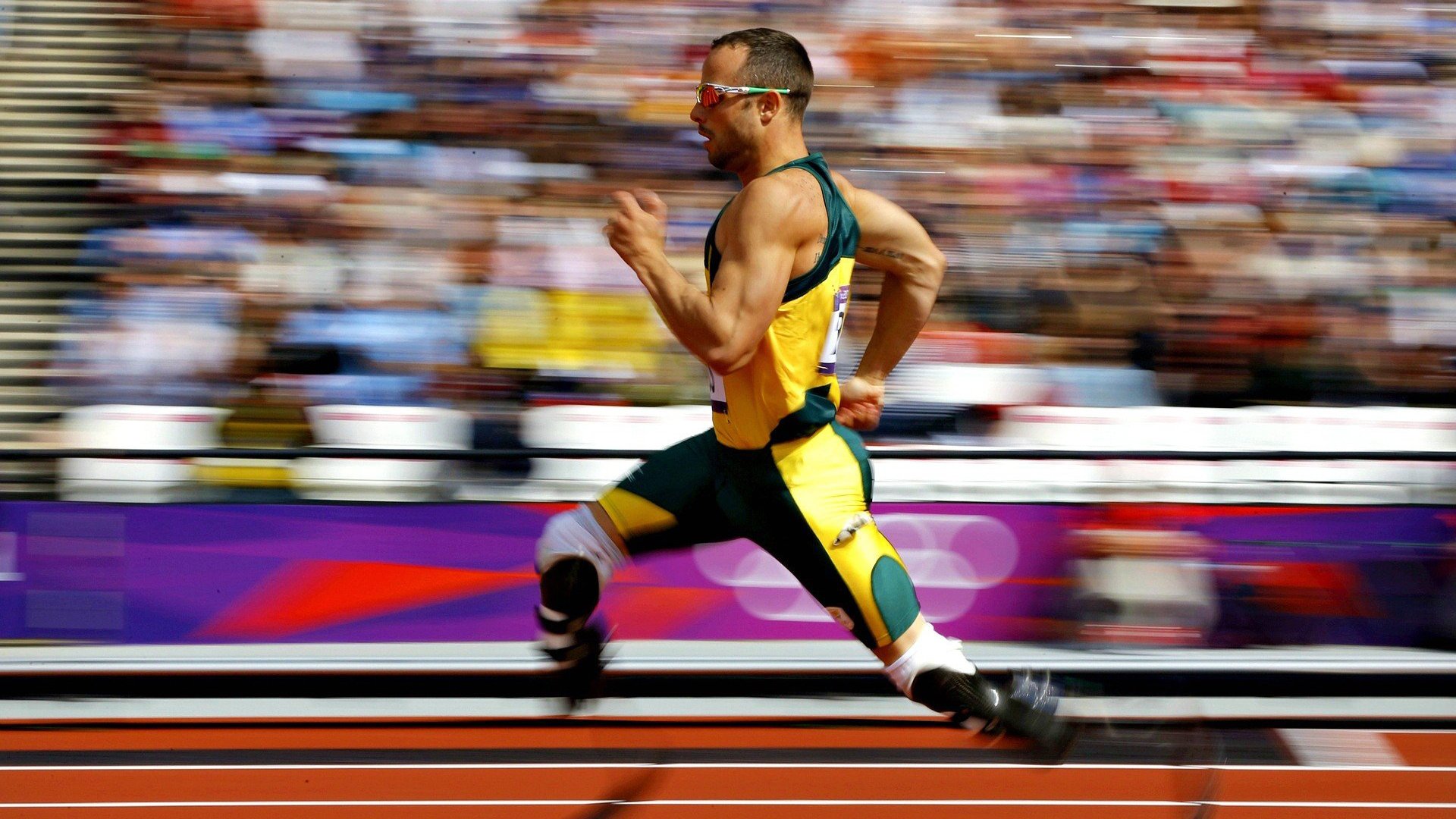 _全球跑步名人赛：明星运动员齐聚一堂_，中国跑步明星运动员